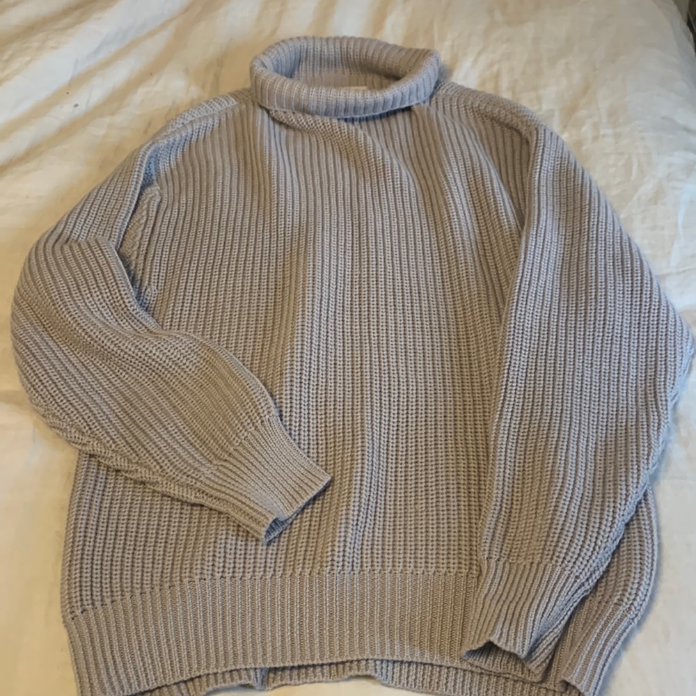 Aritzia Montpellier Turtleneck (like new)